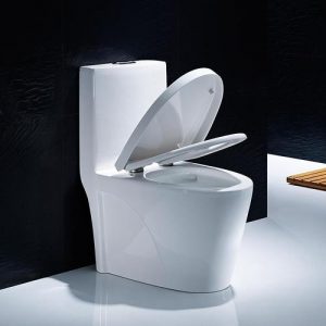 抽水馬桶是如何工作的？